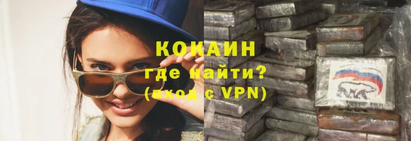 стафф Коряжма