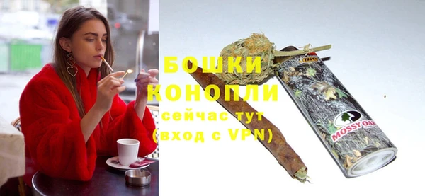крисы Козловка