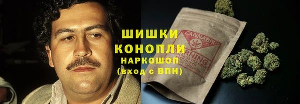 ПСИЛОЦИБИНОВЫЕ ГРИБЫ Костерёво