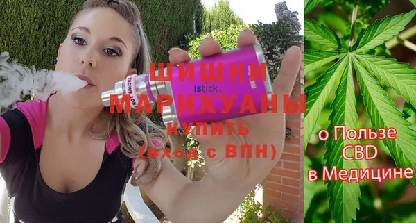ПСИЛОЦИБИНОВЫЕ ГРИБЫ Костерёво