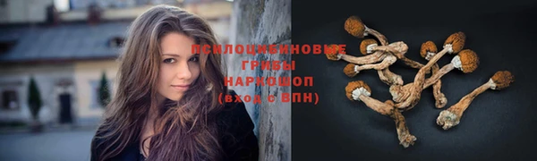 соль ск Корсаков