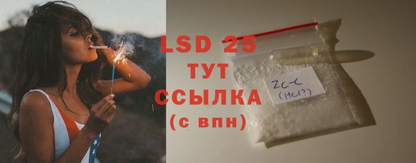 ПСИЛОЦИБИНОВЫЕ ГРИБЫ Костерёво