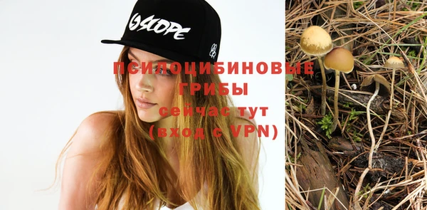 стафф Коряжма