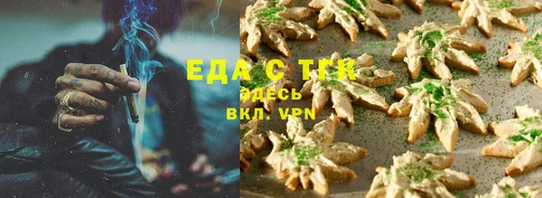 стафф Коряжма